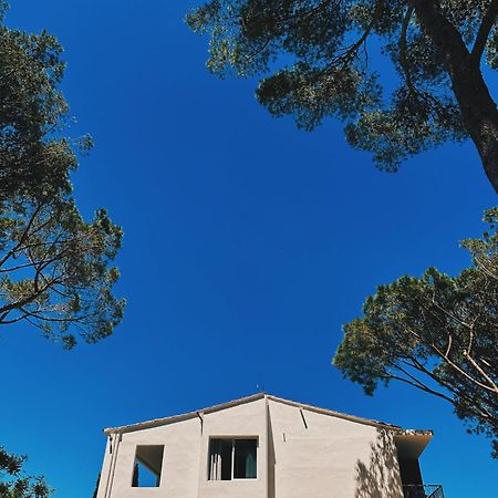 Can Romy Appartement T2F A 20M De La Plage De Cala Montgo L' Escala Buitenkant foto
