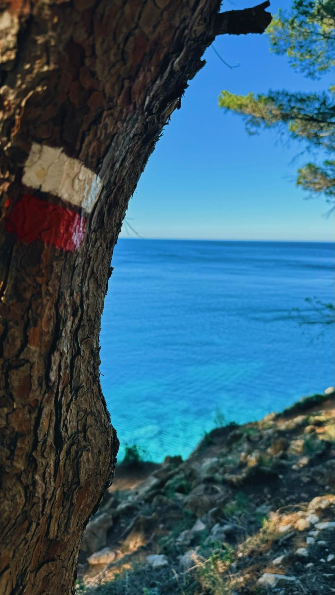 Can Romy Appartement T2F A 20M De La Plage De Cala Montgo L' Escala Buitenkant foto